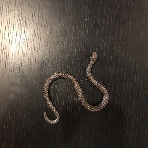 Snake  brooches
